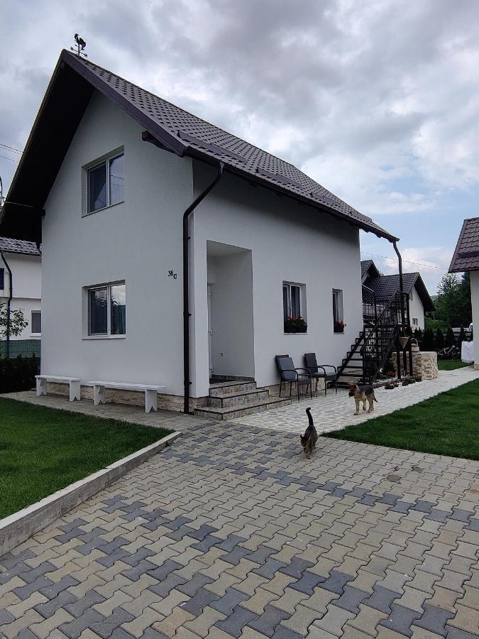 Vizuina Lupului Hotel Gura Humorului Ngoại thất bức ảnh